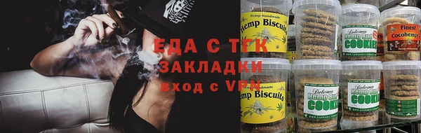 ГАЛЛЮЦИНОГЕННЫЕ ГРИБЫ Вяземский