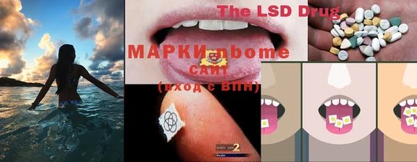 ГАЛЛЮЦИНОГЕННЫЕ ГРИБЫ Вяземский