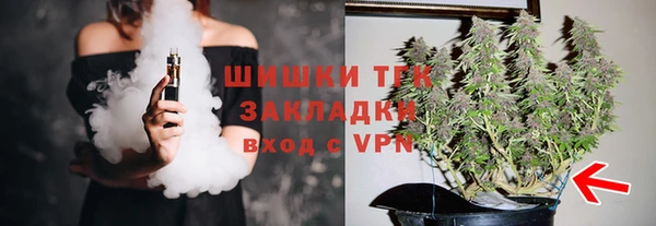 ГАЛЛЮЦИНОГЕННЫЕ ГРИБЫ Вяземский