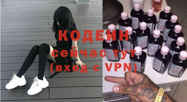 ГАЛЛЮЦИНОГЕННЫЕ ГРИБЫ Вяземский